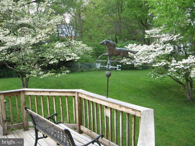 19113 Bloomfield Road Olney, MD 20832 - Photo 16 of 20 Deck - View from