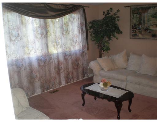 4010 Swallow Hill Road Pittsburgh, PA 15220 - Photo 3 of 16 Living Room.