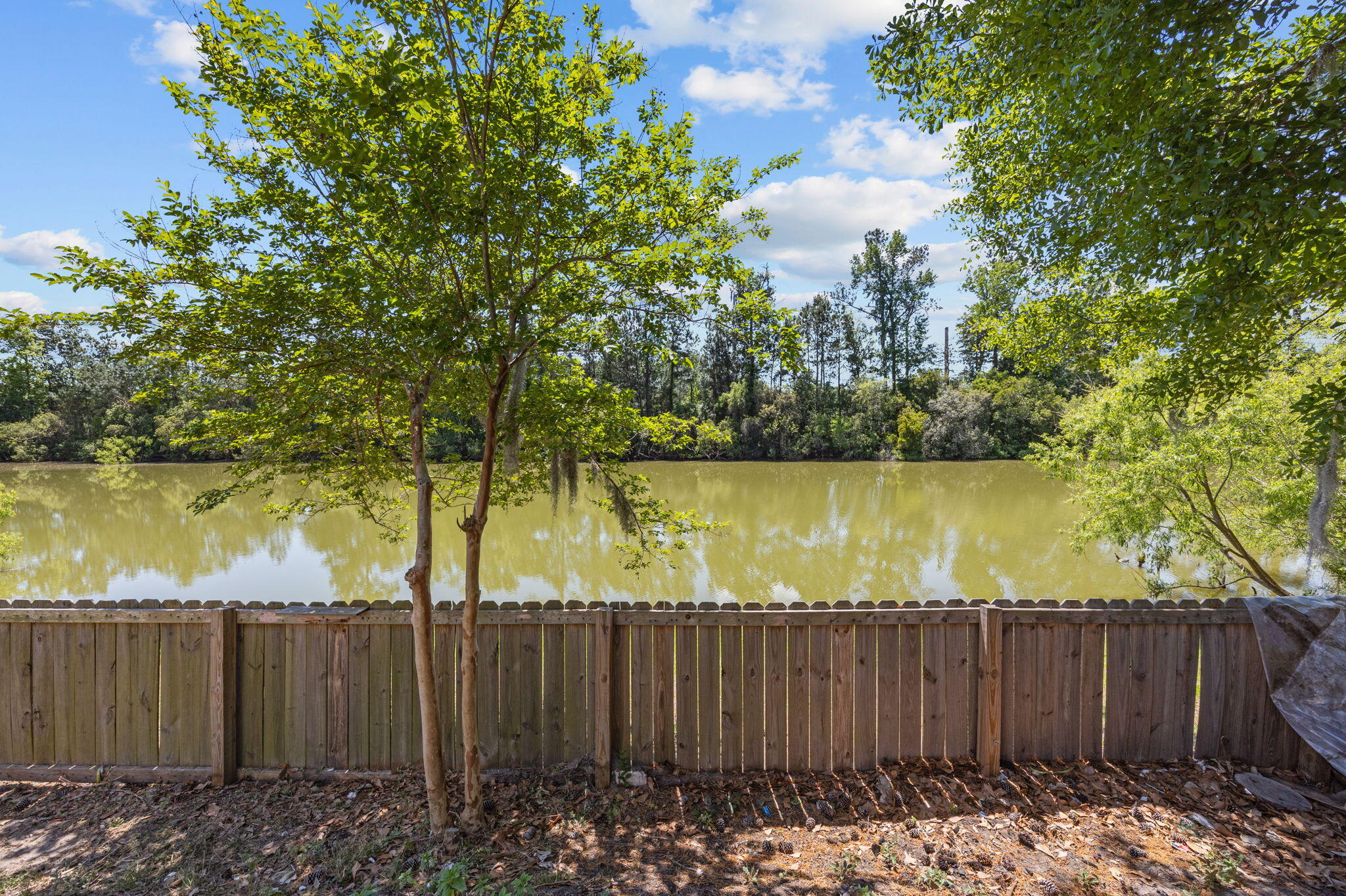 8988 Cat Tail Pond Road Summerville, SC 29485 - Photo 32 of 46 37-web-or-mls-470A7823
