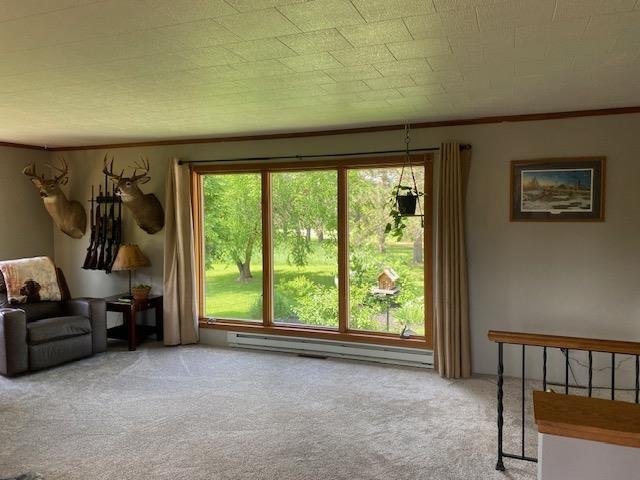 W3981 County Rd J Irma, WI 54442 - Photo 4 of 44
