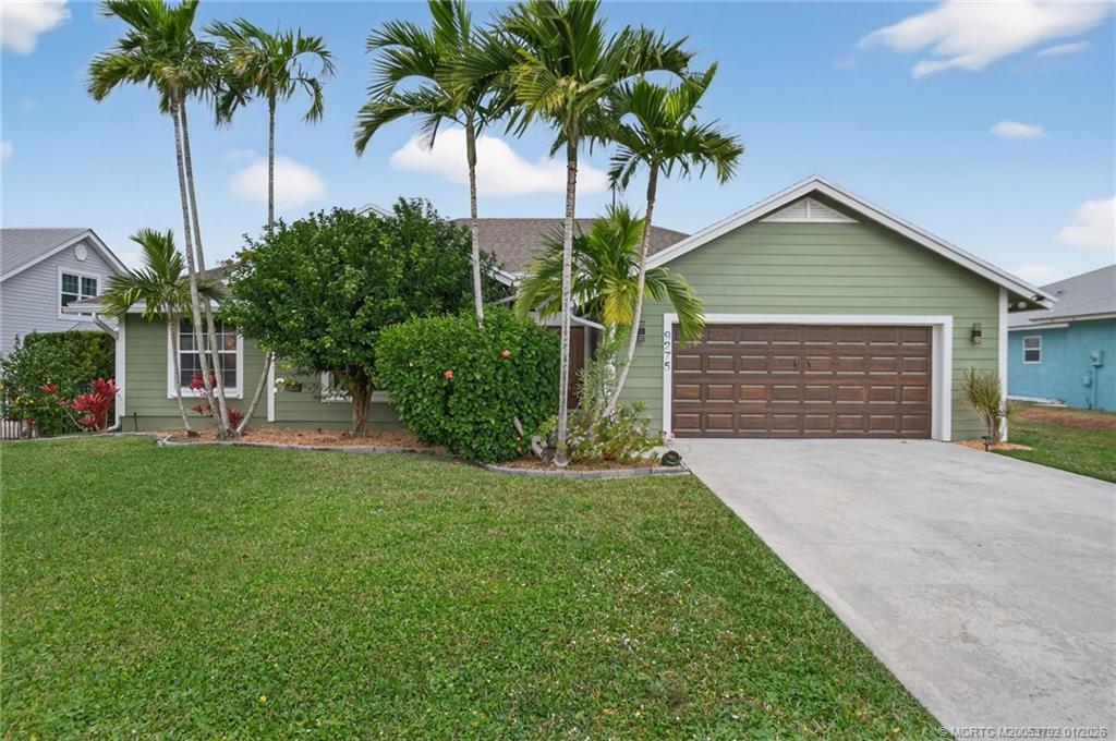 a palm tree sitting in front of a house with potted plants