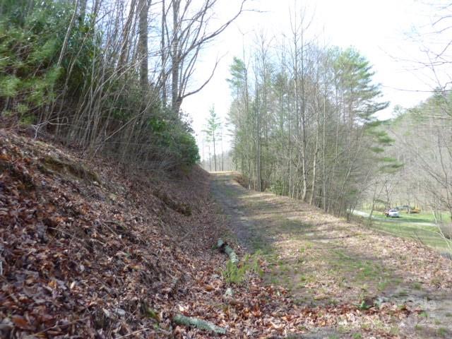 Tbd Joe Tweed Road Marshall, NC 28753 - Photo 11 of 27 a view of a yard with large trees