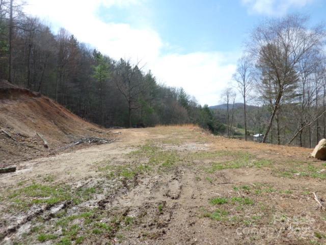Tbd Joe Tweed Road Marshall, NC 28753 - Photo 12 of 27 a view of a yard with trees