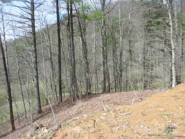Tbd Joe Tweed Road Marshall, NC 28753 - Photo 13 of 27 a view of a backyard of the house