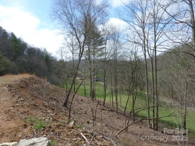 Tbd Joe Tweed Road Marshall, NC 28753 - Photo 14 of 27 a view of a forest