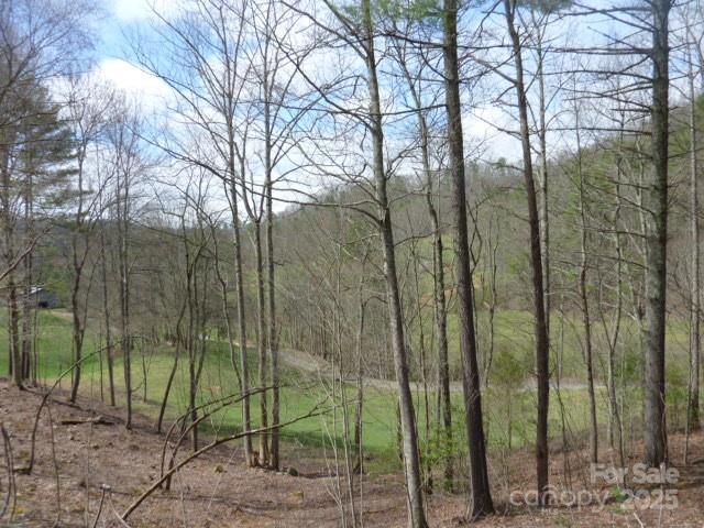 Tbd Joe Tweed Road Marshall, NC 28753 - Photo 15 of 27 a view of a forest