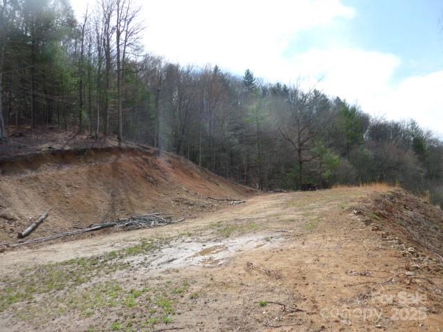 Tbd Joe Tweed Road Marshall, NC 28753 - Photo 17 of 27 a view of a yard with trees