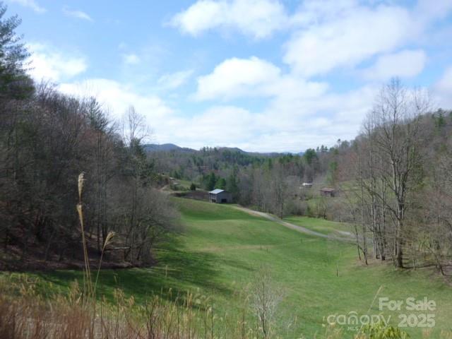 Tbd Joe Tweed Road Marshall, NC 28753 - Photo 18 of 27 a big yard with lots of green space