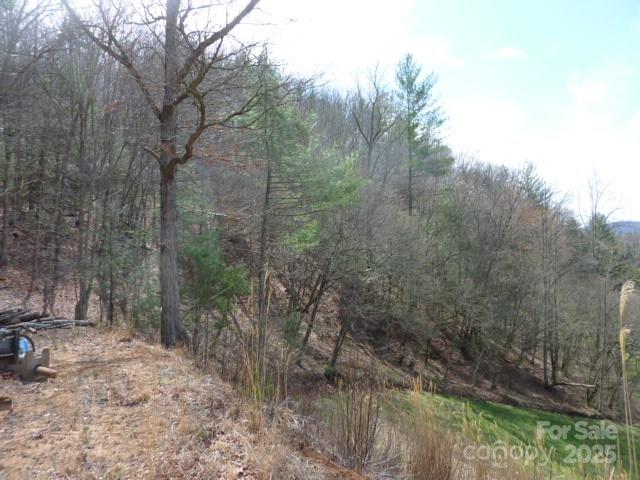 Tbd Joe Tweed Road Marshall, NC 28753 - Photo 20 of 27 a view of a forest with trees in the background