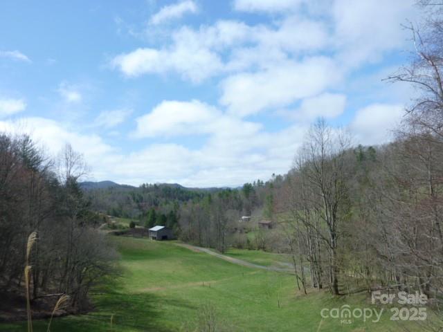 Tbd Joe Tweed Road Marshall, NC 28753 - Photo 21 of 27 a view of a city with lush green forest