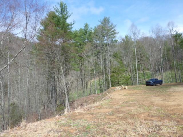 Tbd Joe Tweed Road Marshall, NC 28753 - Photo 23 of 27 a view of a road with a trees