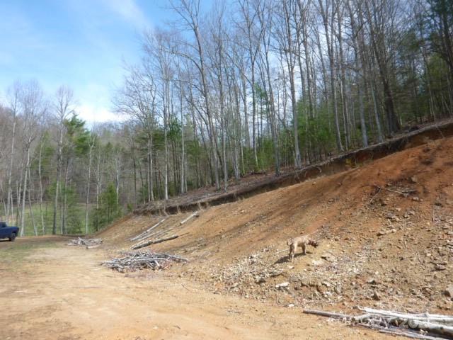 Tbd Joe Tweed Road Marshall, NC 28753 - Photo 24 of 27 a view of a backyard with trees