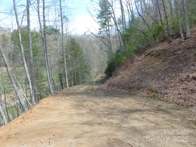 Tbd Joe Tweed Road Marshall, NC 28753 - Photo 25 of 27 a view of a yard with trees in the background