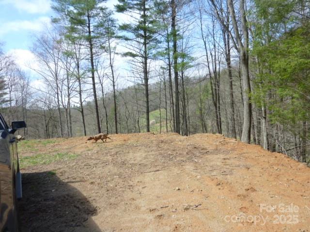 Tbd Joe Tweed Road Marshall, NC 28753 - Photo 27 of 27 a view of a backyard of the house