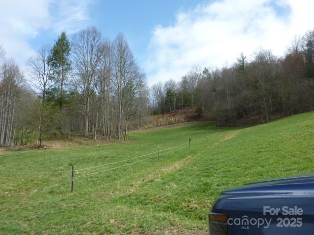 Tbd Joe Tweed Road Marshall, NC 28753 - Photo 3 of 27 a view of a back yard
