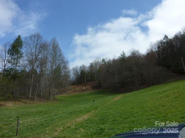 Tbd Joe Tweed Road Marshall, NC 28753 - Photo 4 of 27 a view of a grassy field with trees in the background