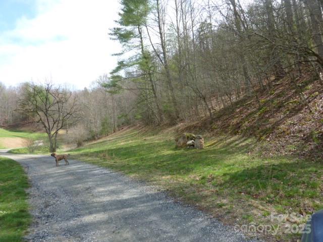 Tbd Joe Tweed Road Marshall, NC 28753 - Photo 5 of 27 a view of field with tall trees