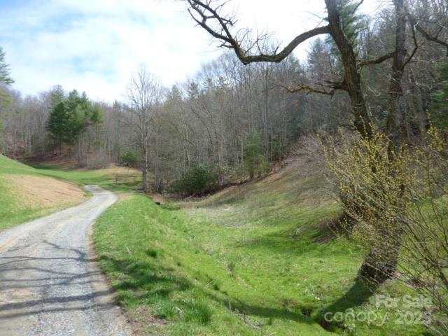 Tbd Joe Tweed Road Marshall, NC 28753 - Photo 8 of 27 a big yard with lots of green space