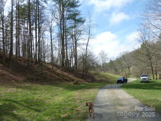 Tbd Joe Tweed Road Marshall, NC 28753 - Photo 9 of 27 a view of a park with large trees