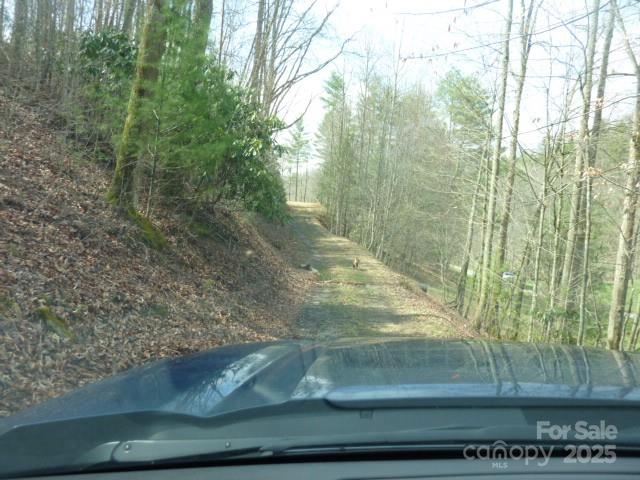 Tbd Joe Tweed Road Marshall, NC 28753 - Photo 10 of 27 a view of garden