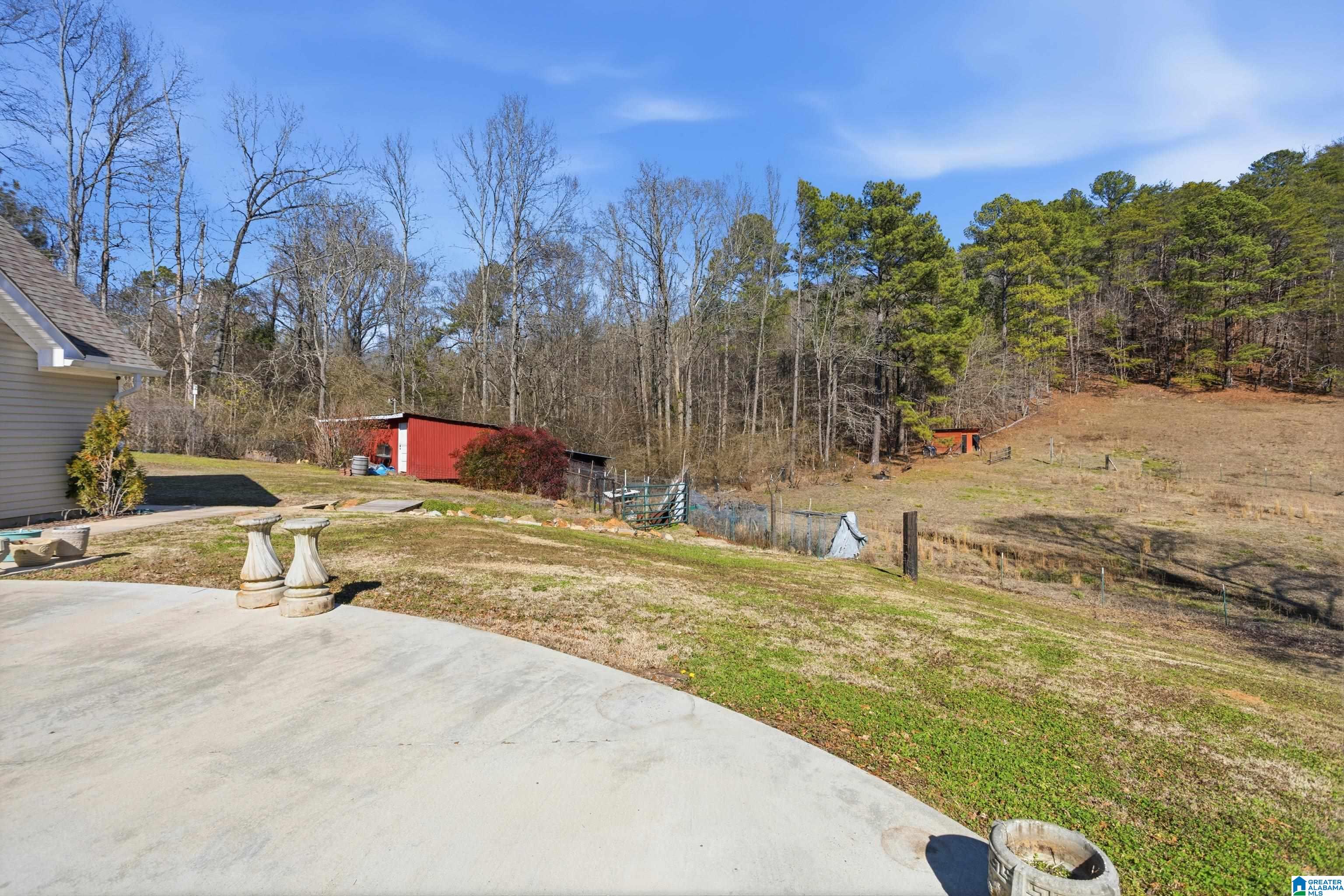 6455 Bibby Brick Yard Road Dora, AL 35062 - Photo 45 of 57