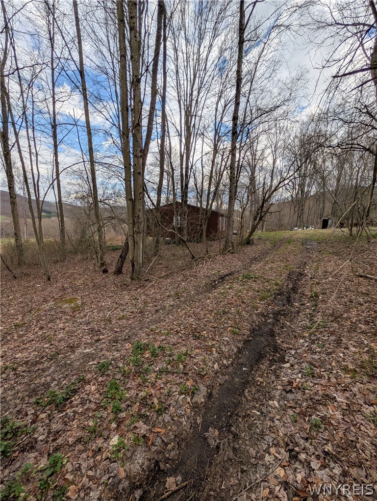 3458 Ray Hill Road Andover, NY 14806 - Photo 24 of 25 Driveway