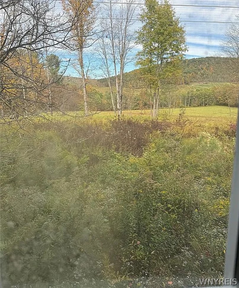 3458 Ray Hill Road Andover, NY 14806 - Photo 9 of 25 Yard