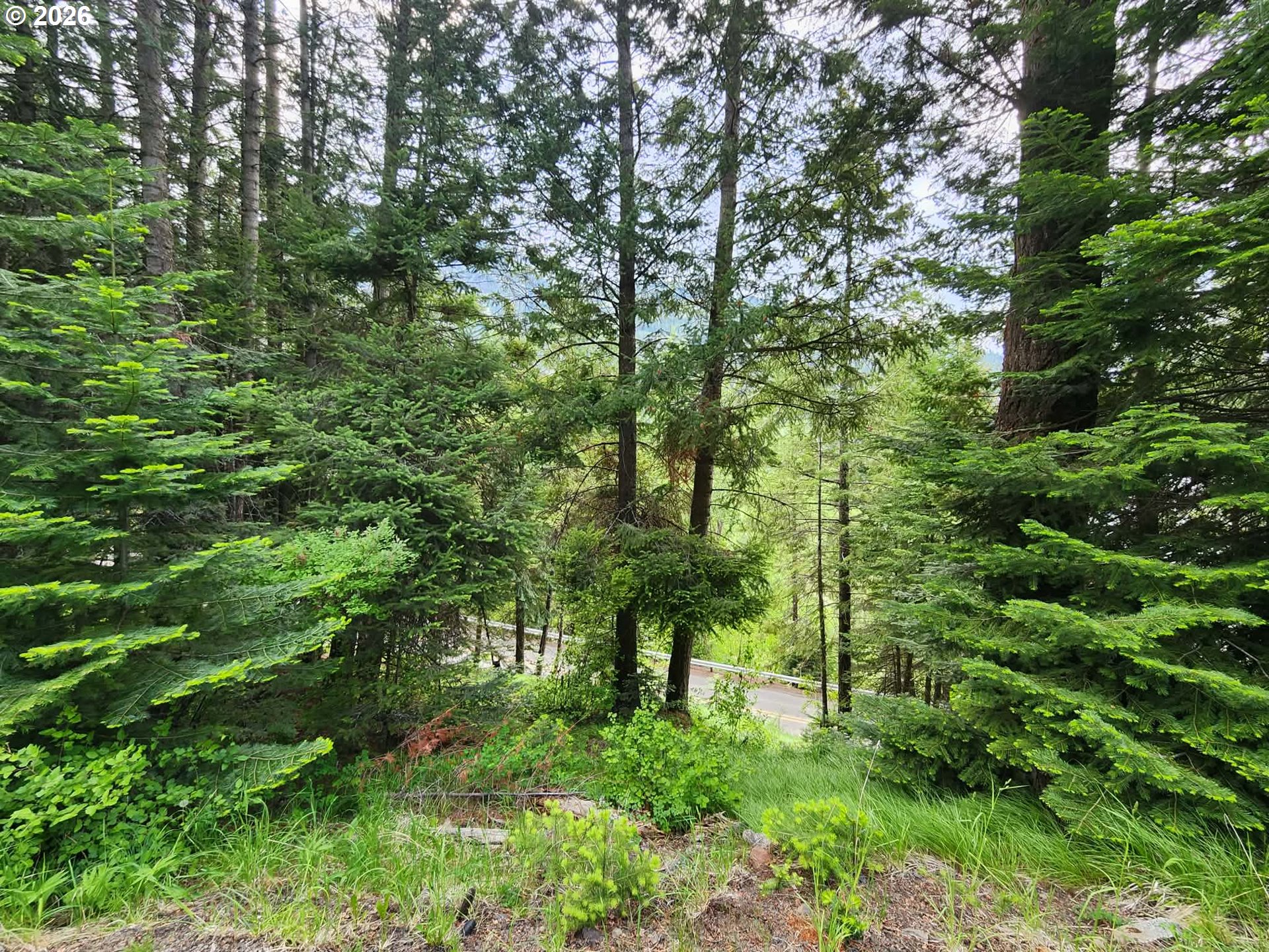 0 Forest Dell Road Joseph, OR 97846 - Photo 5 of 18