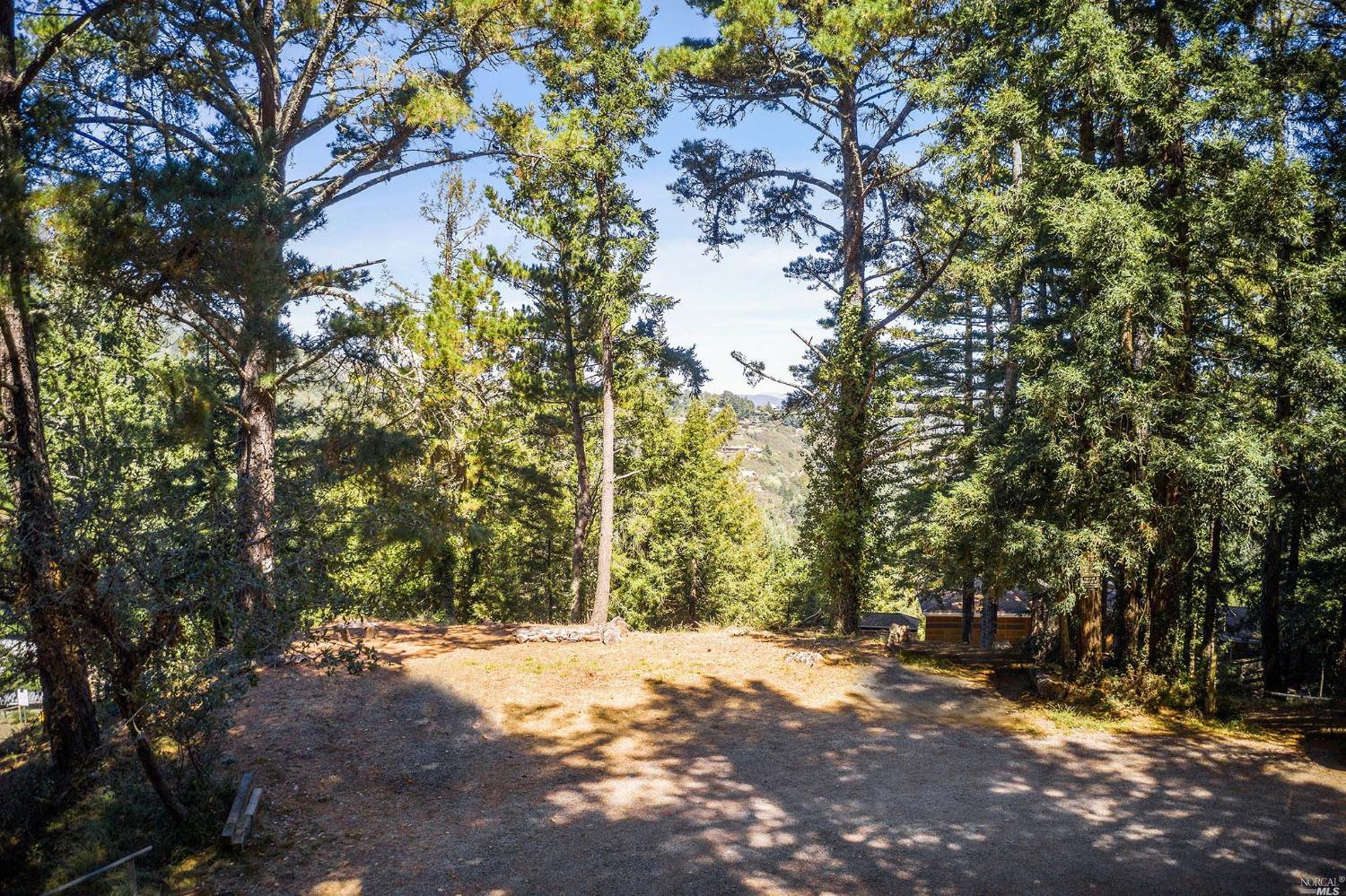 0 Washington Park Avenue Mill Valley, CA 94941 - Photo 1 of 13