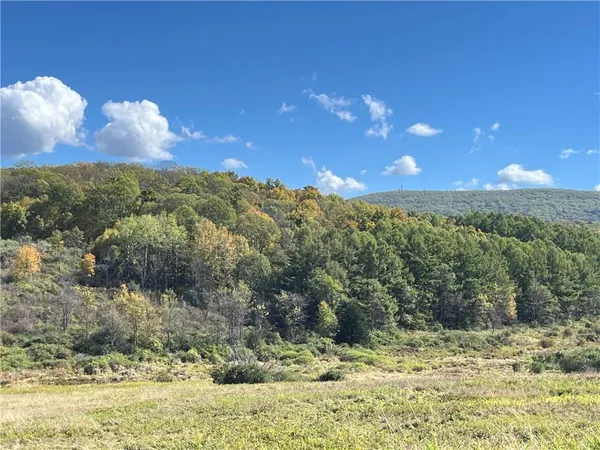 $36,000,000 | 199 Woodward Hill, Pine Plains, NY 12567