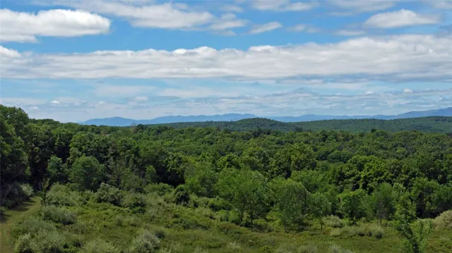 $36,000,000 | 199 Woodward Hill, Pine Plains, NY 12567