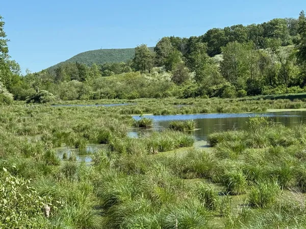 $36,000,000 | 199 Woodward Hill, Pine Plains, NY 12567