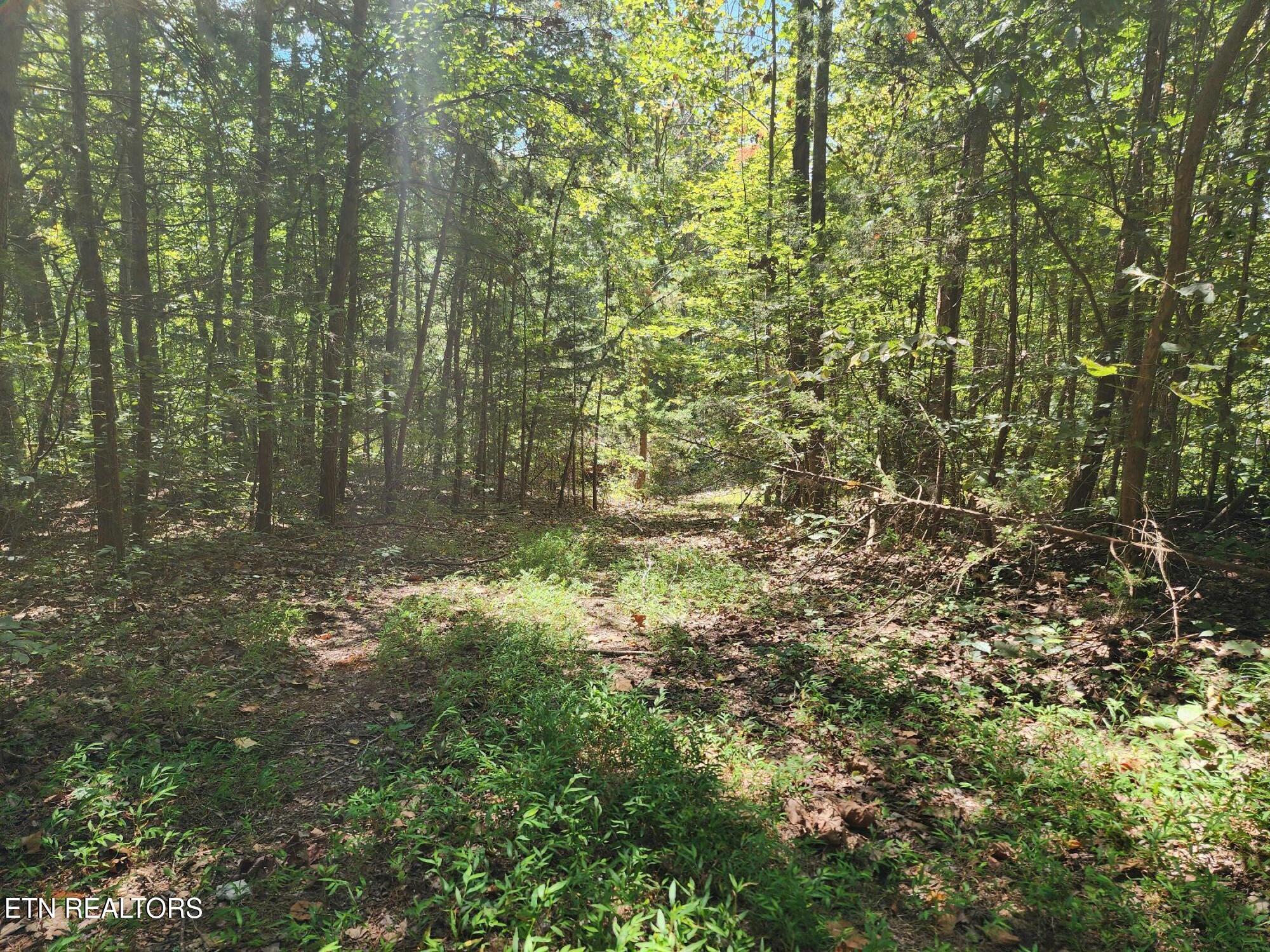 Timber Ridge Road Sharps Chapel, TN 37866 - Photo 11 of 19 2