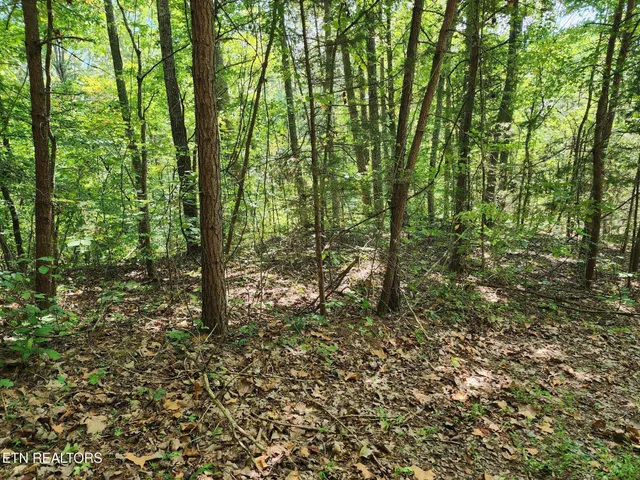 $55,000 | Timber Ridge Road, Sharps Chapel, TN 37866