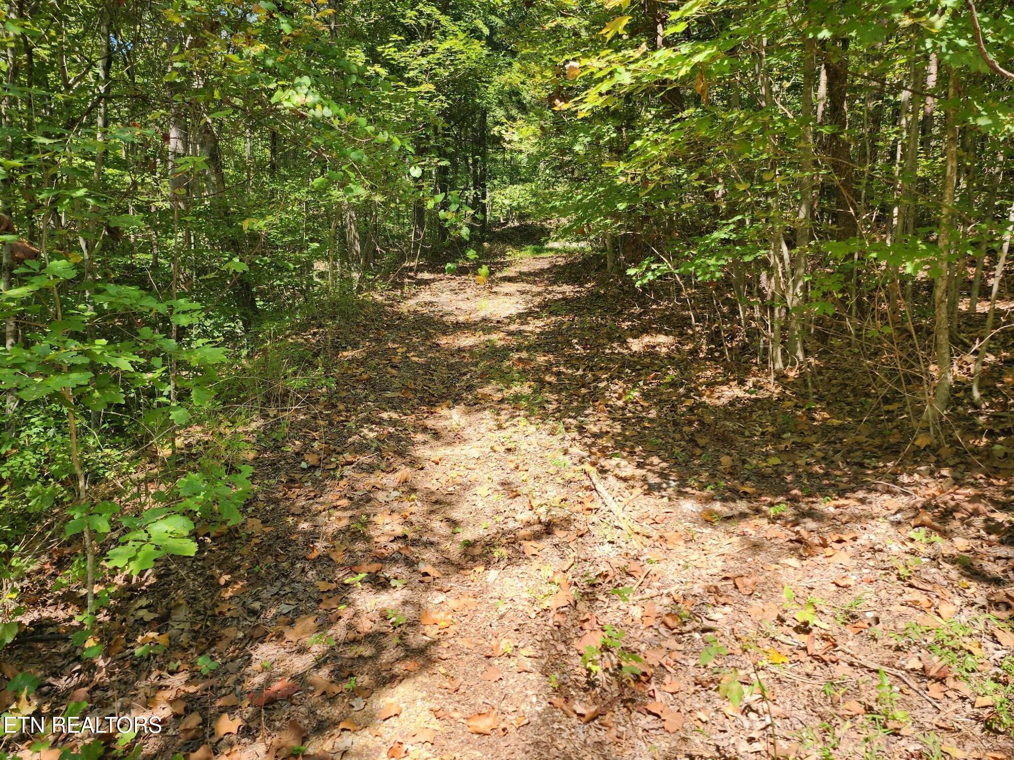 Timber Ridge Road Sharps Chapel, TN 37866 - Photo 13 of 19 4