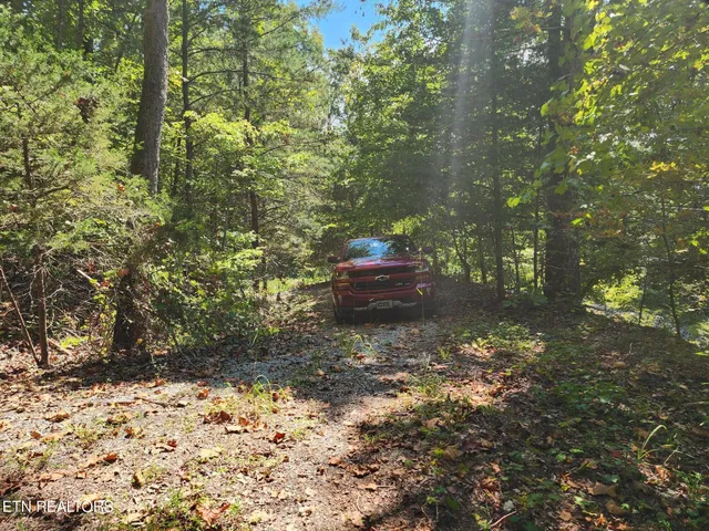 $55,000 | Timber Ridge Road, Sharps Chapel, TN 37866