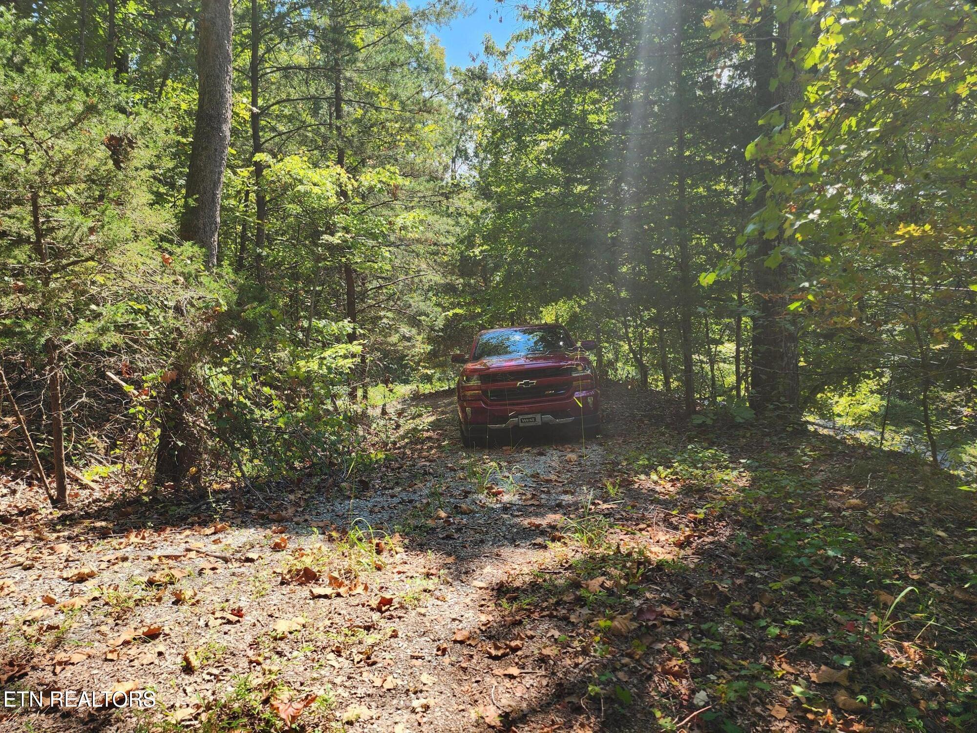 Timber Ridge Road Sharps Chapel, TN 37866 - Photo 2 of 19 Drive roughed in