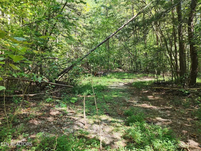 $55,000 | Timber Ridge Road, Sharps Chapel, TN 37866