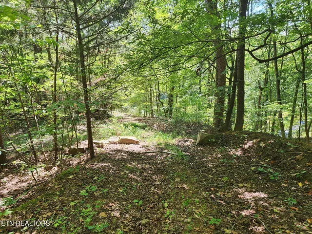 $55,000 | Timber Ridge Road, Sharps Chapel, TN 37866