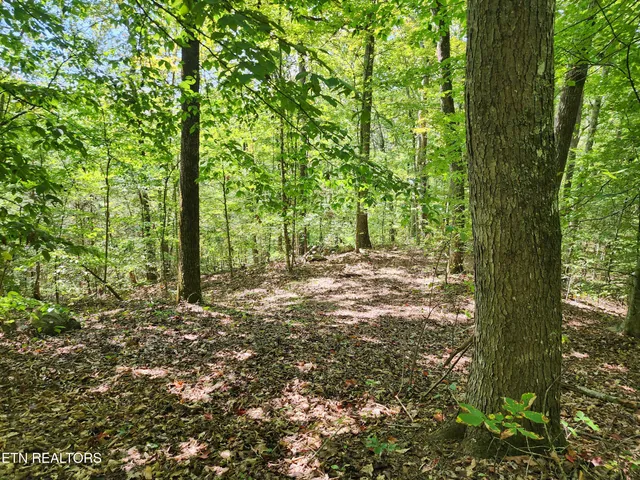 $55,000 | Timber Ridge Road, Sharps Chapel, TN 37866