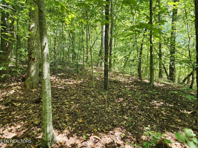 $55,000 | Timber Ridge Road, Sharps Chapel, TN 37866