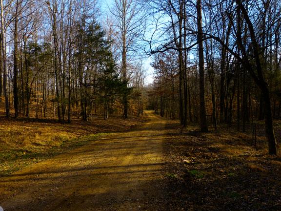 50 Clay Jones Road Taft, TN 38488 - Photo 19 of 20 Total seclusion!
