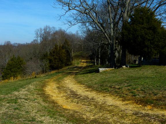 50 Clay Jones Road Taft, TN 38488 - Photo 20 of 20