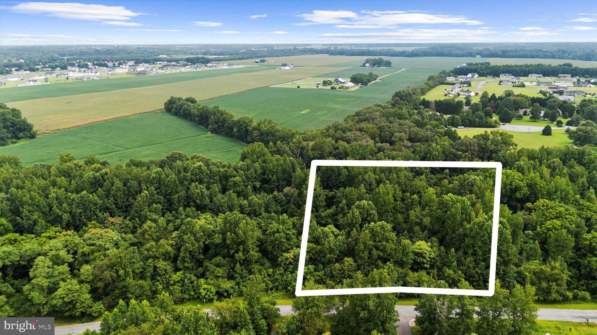 Burnt Mill Road Ridgely, MD 21660 - Photo 2 of 8 Lot lines are estimated