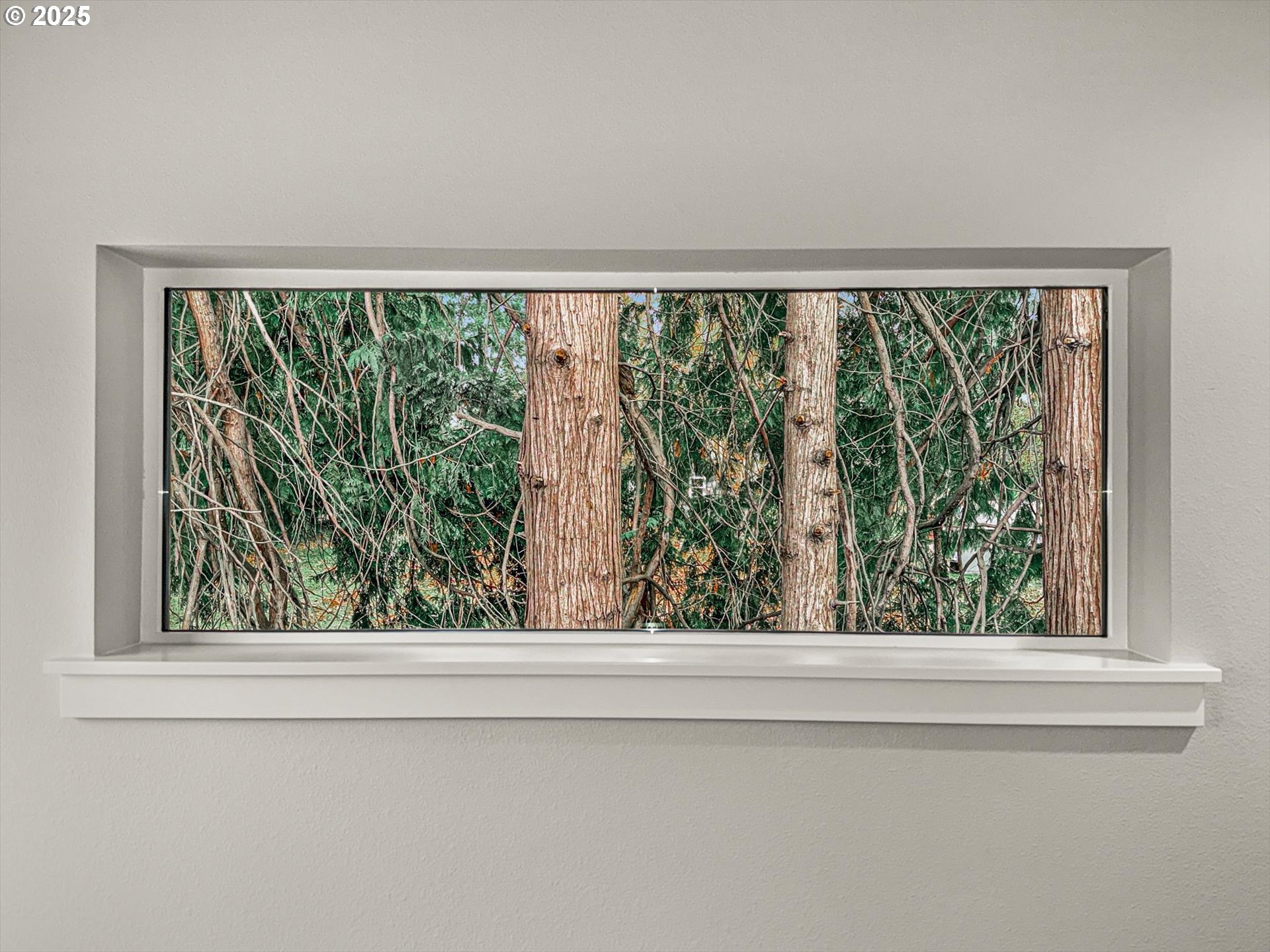 2360 Northwest 3rd Street Gresham, OR 97030 - Photo 27 of 45 a view of a window in a room