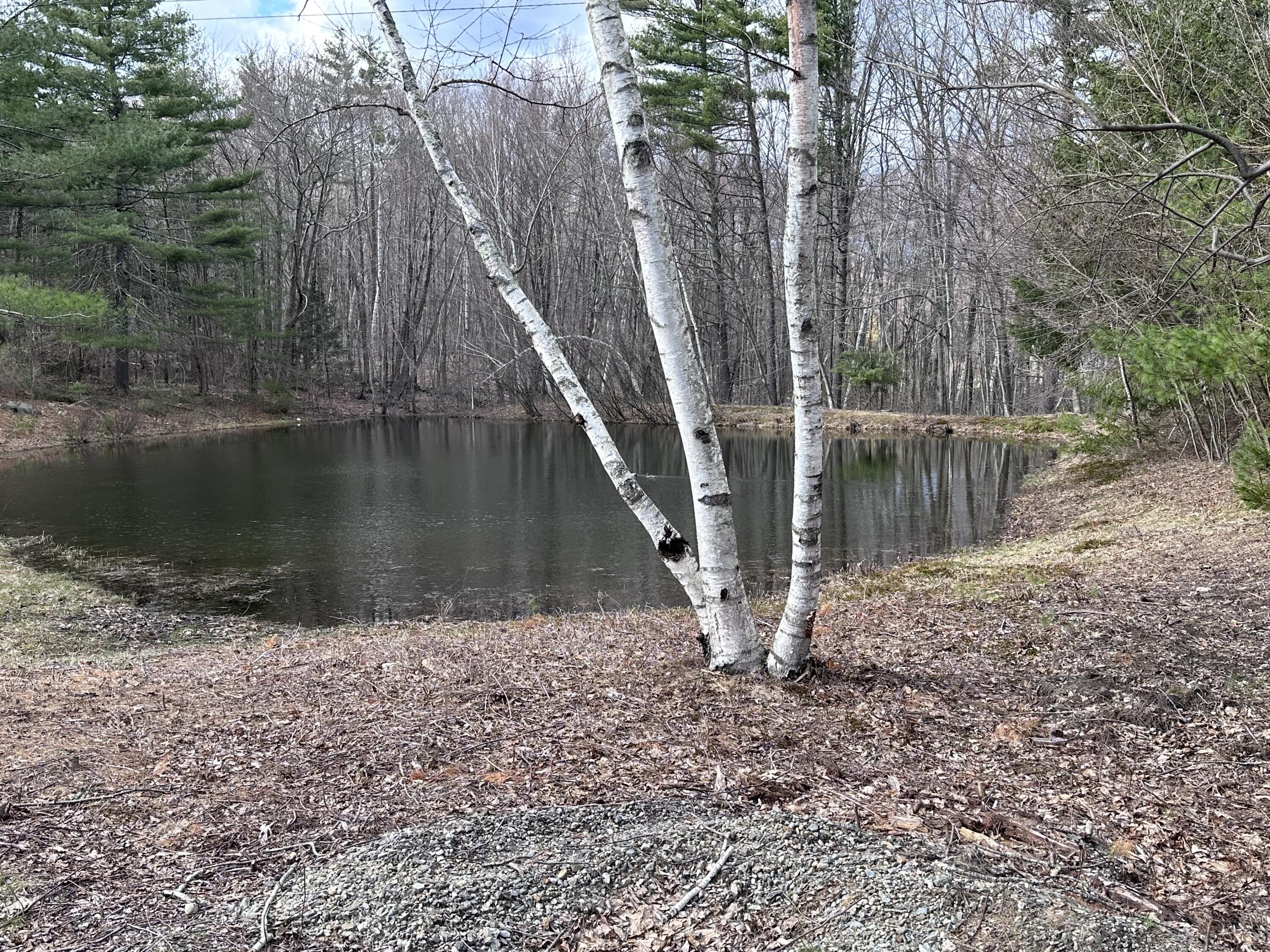567 Shapleigh Road Lebanon, ME 04027 - Photo 28 of 35 IMG_6760