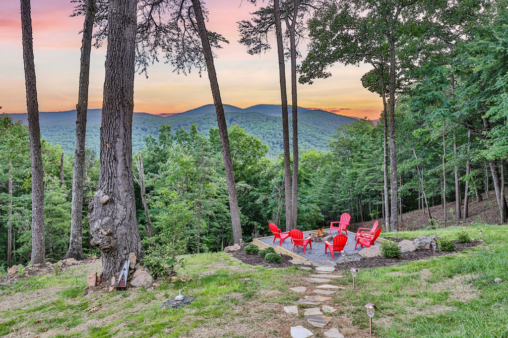 175 Cochise Road Cherry Log, GA 30522 - Photo 40 of 89
