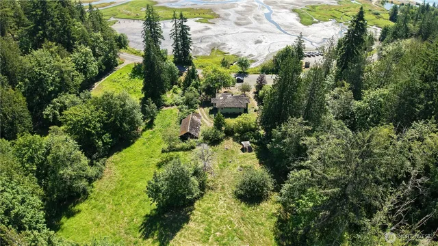 a view of a garden with plants