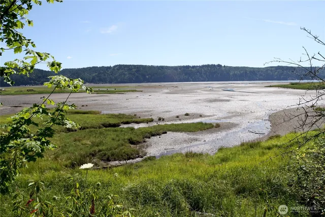 a view of a lake with houses in background