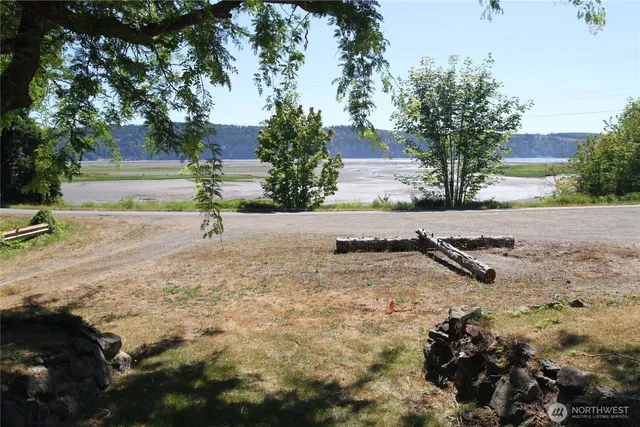a view of a dry yard with trees